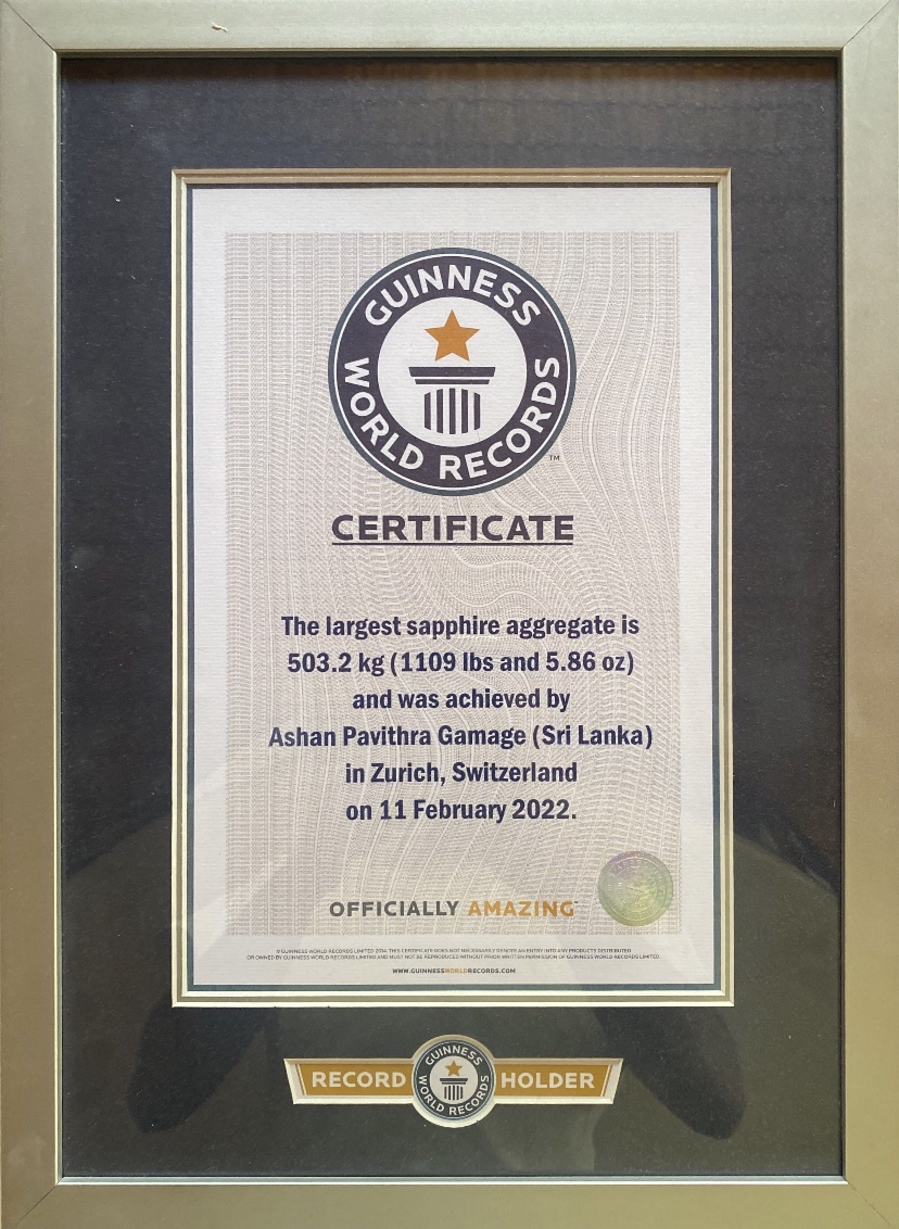 Guinness World Record Certificate
